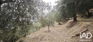 Vente Terrain Vente Terrain 800 m&sup2; Menton