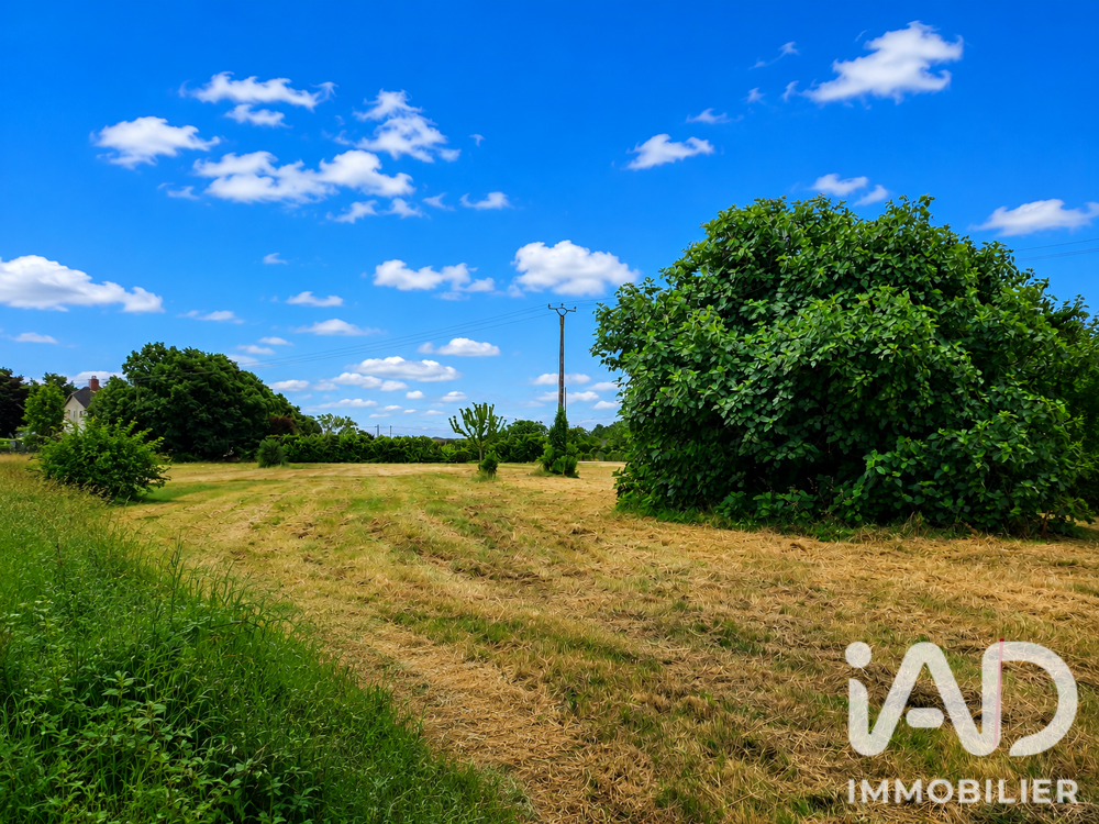 Vente Terrain Vente Terrain à bâtir 2 620 m&sup2; Saint-jory