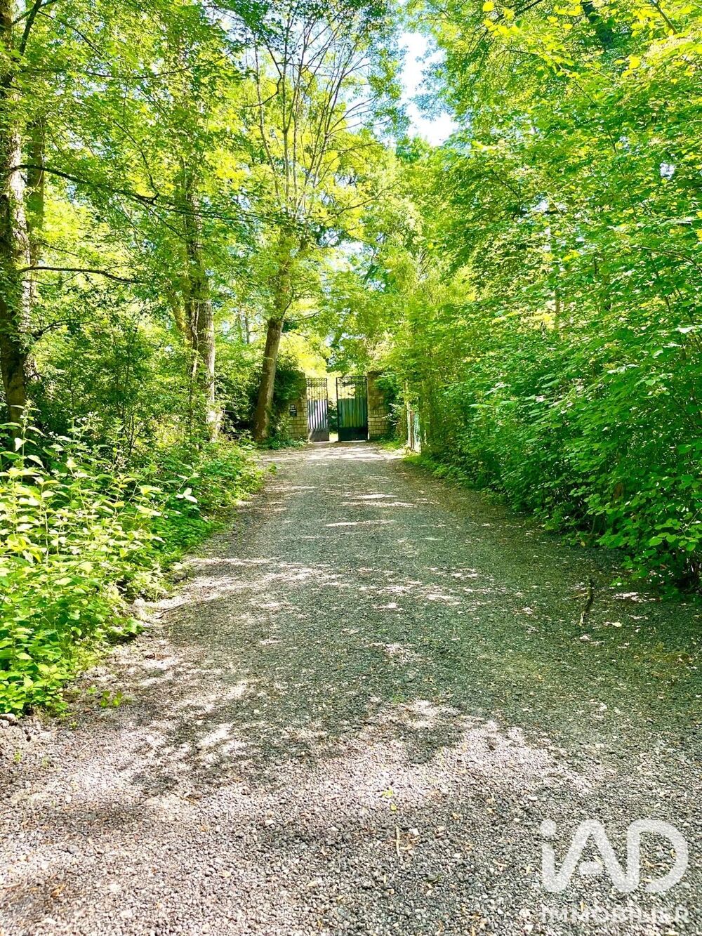 à vendre  Maison Montigny-sur-Loing (77690)