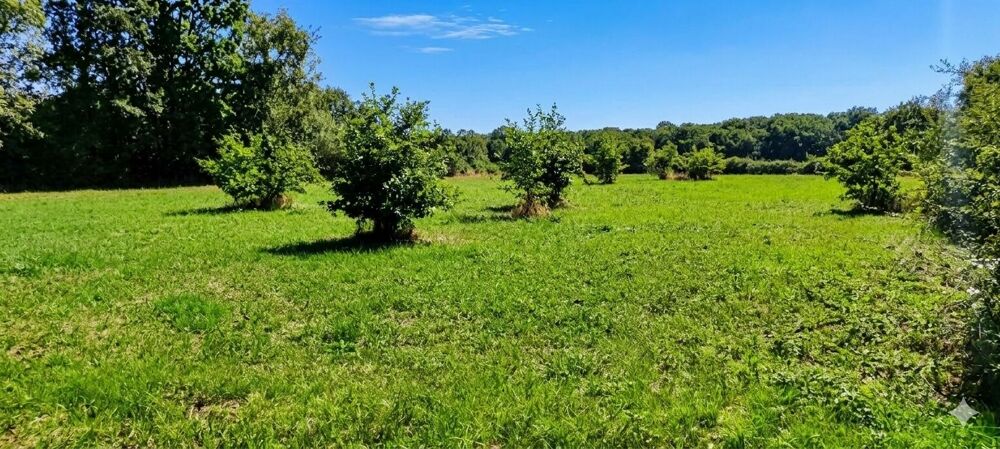 Vente Terrain Terrain de loisir de 3 000 m² au calme Angers