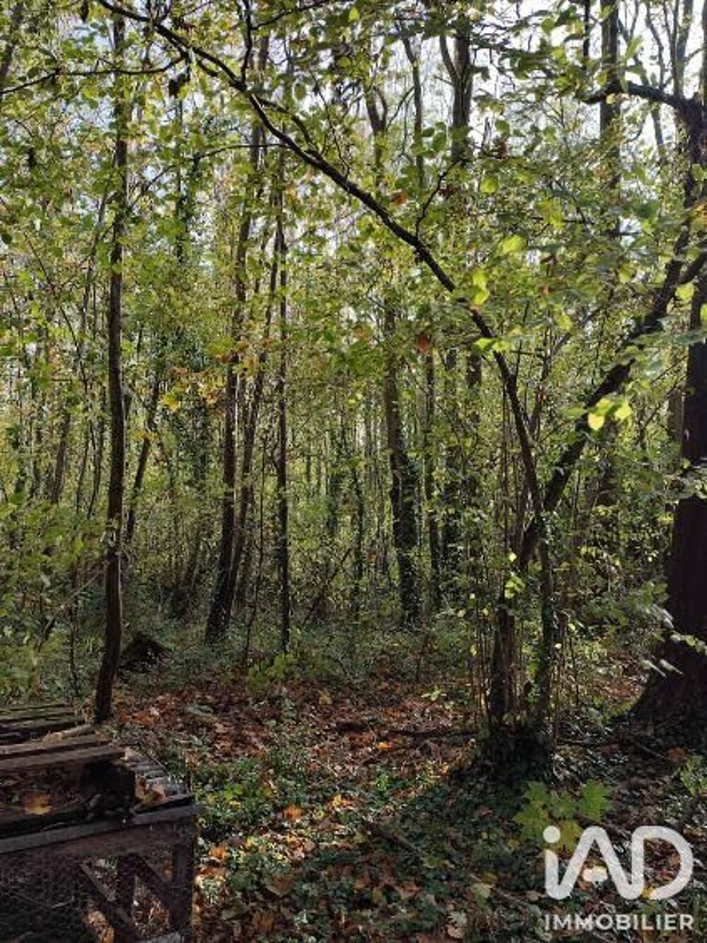 Vente Terrain Vente Terrain 4 900 m&sup2; Boult sur suippe