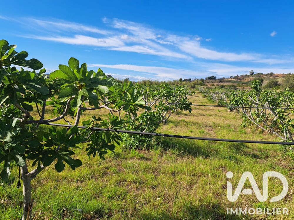   Vente Agriculture, Viticulture 