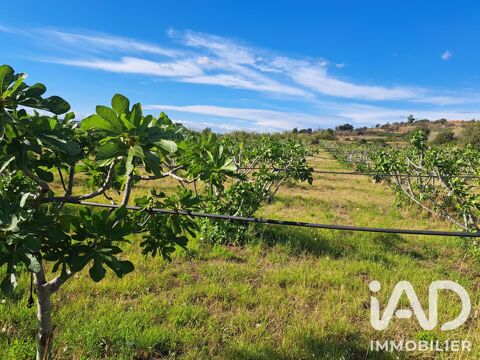Vente Agriculture, Viticulture 98000 34120 Tourbes