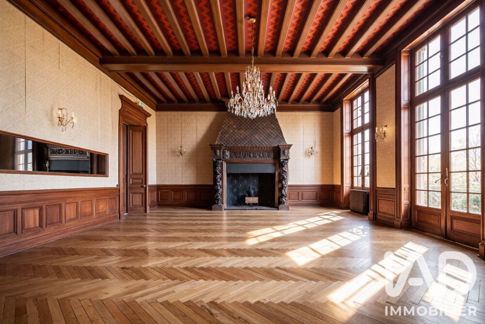 Vente Château 40 pièces