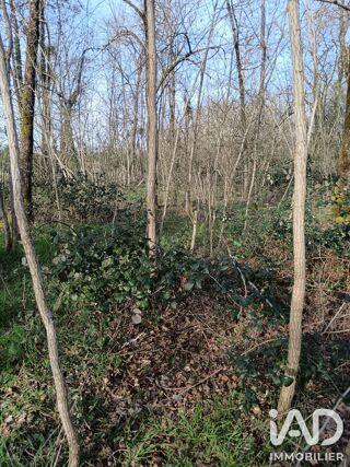  Terrain à vendre 24045 m²