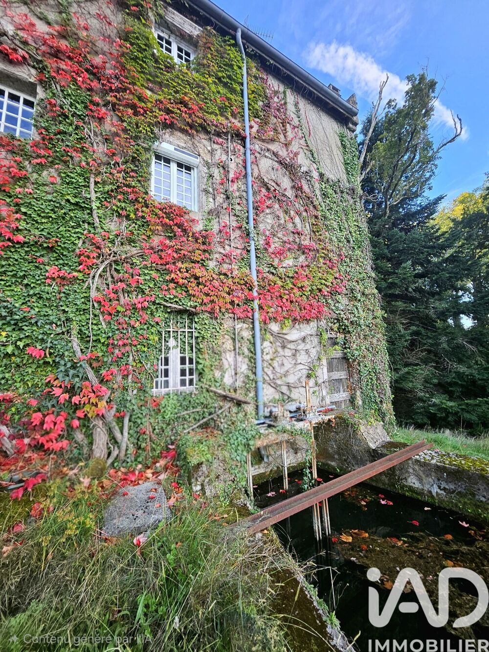 Vente Moulin 8 pièces