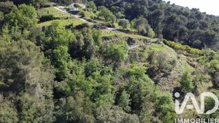  Terrain à vendre 10100 m²