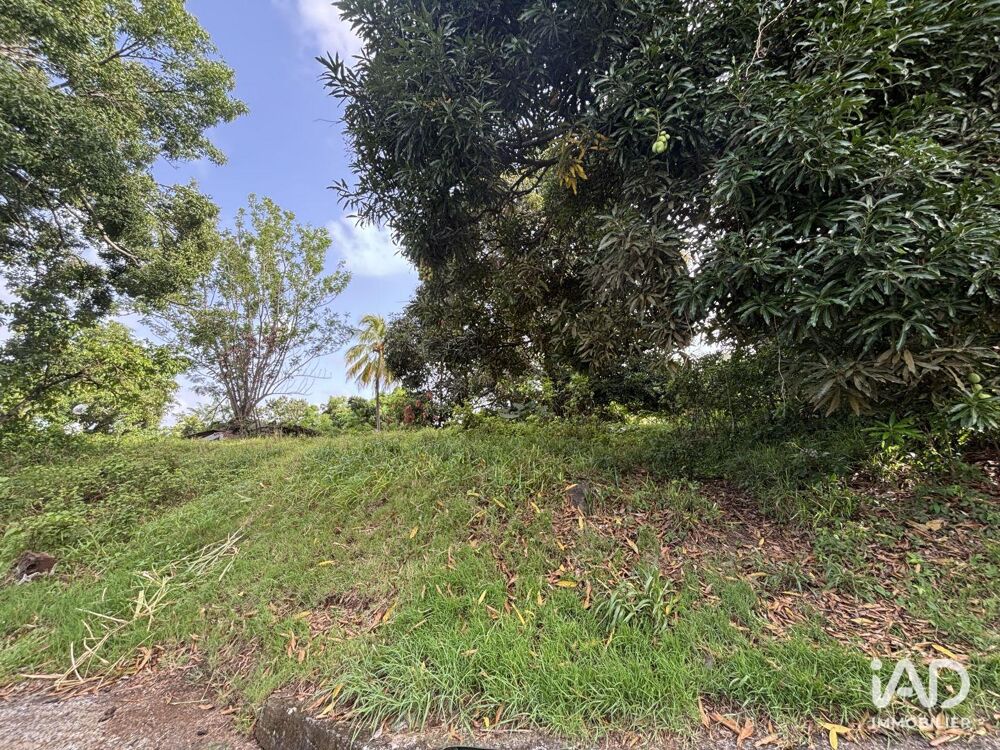 Vente Terrain Vente Terrain 2 535 m&sup2; Le lamentin