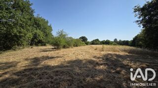 Vente Terrain Vente Terrain à bâtir 14 347 m&sup2; Bélâbre
