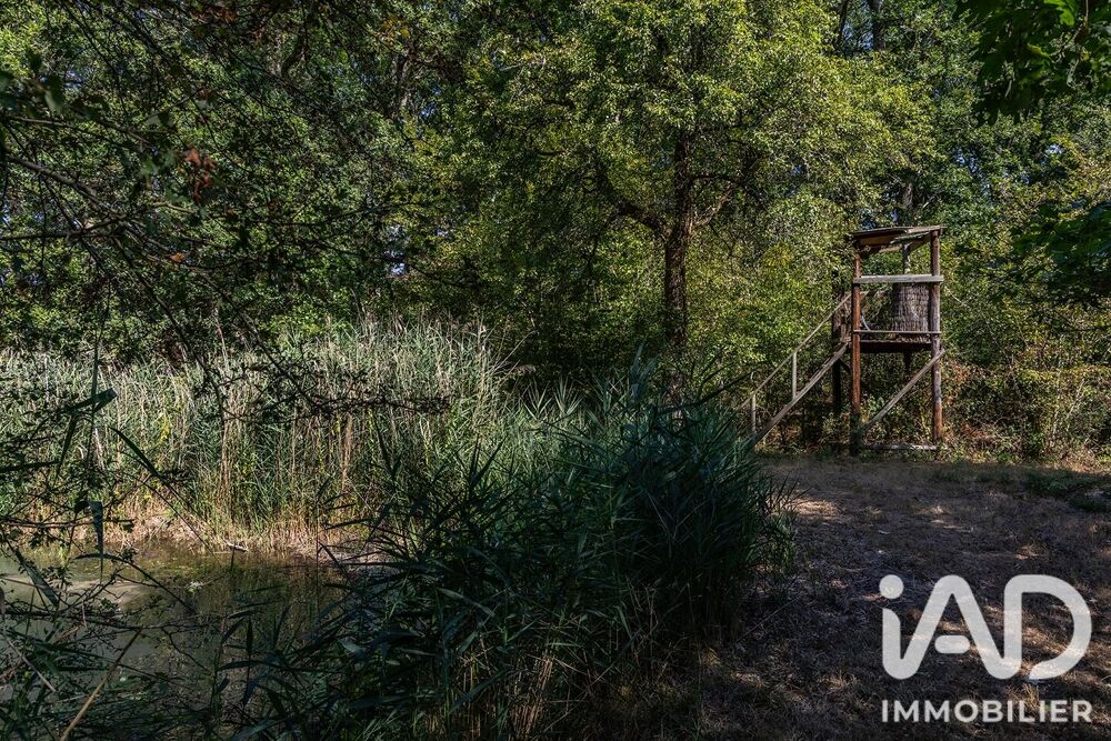 à vendre  Maison La Ferté-Saint-Cyr (41220)