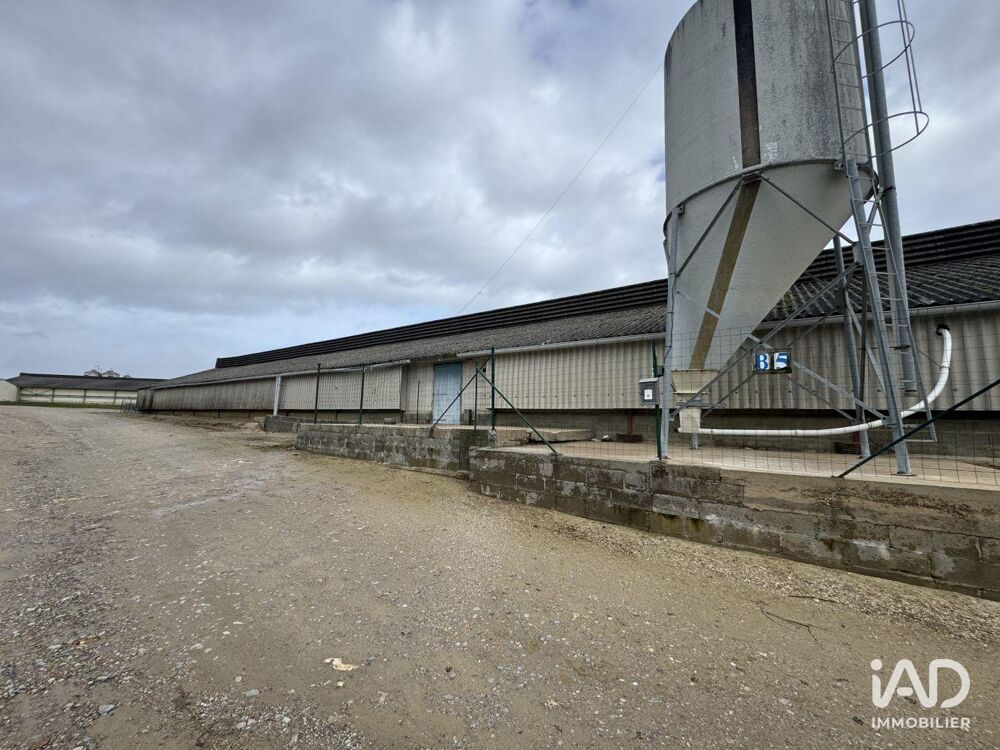   Vente Local d'activités 2 250 m&sup2; 