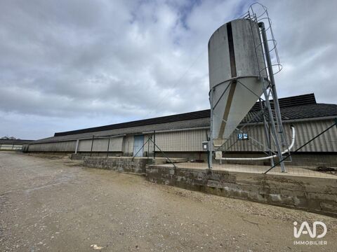   Vente Local d'activités 2 250 m&sup2; 