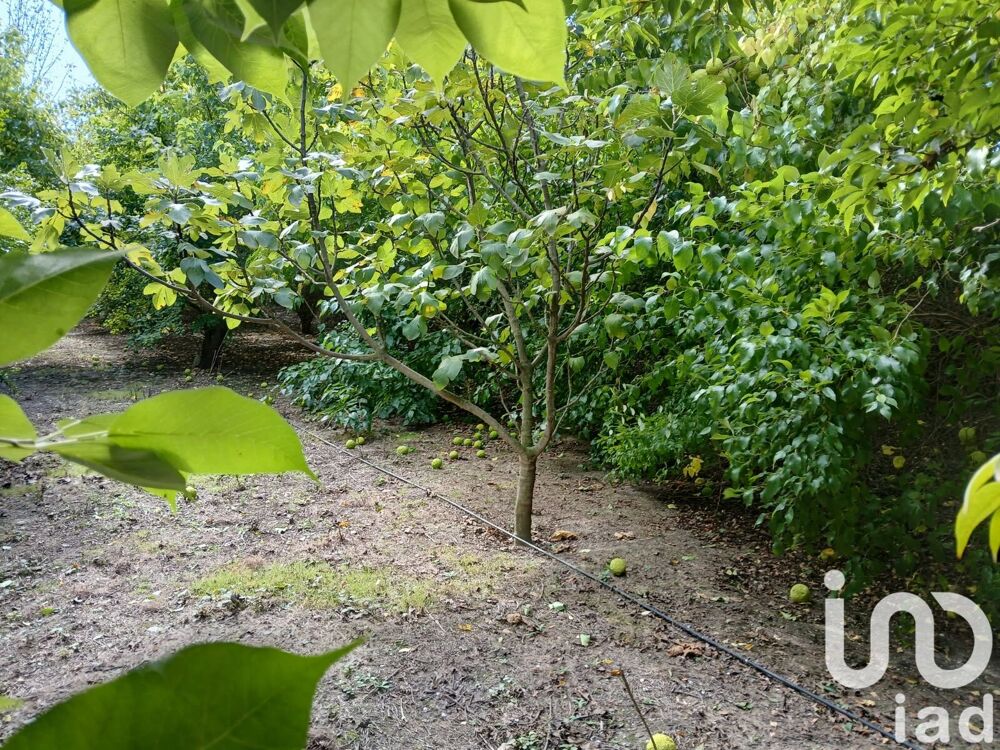 Vente Terrain Vente Terrain agricole 16 110 m&sup2; Bezouce