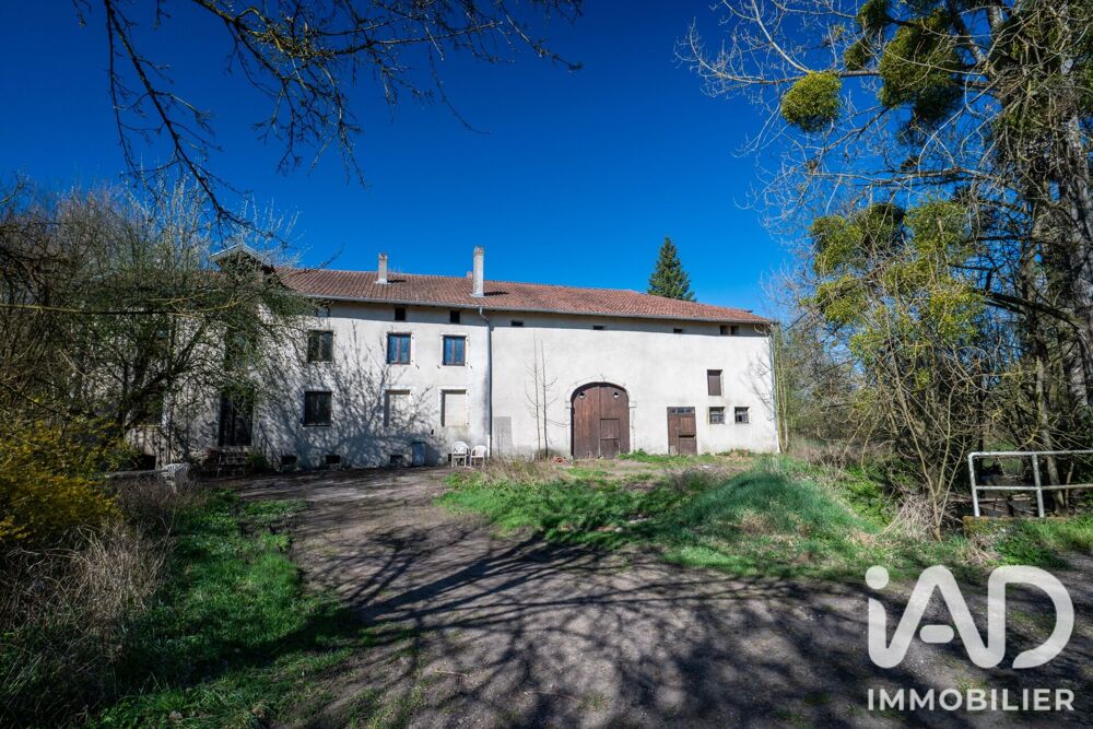 Vente Domaine 7 pièces