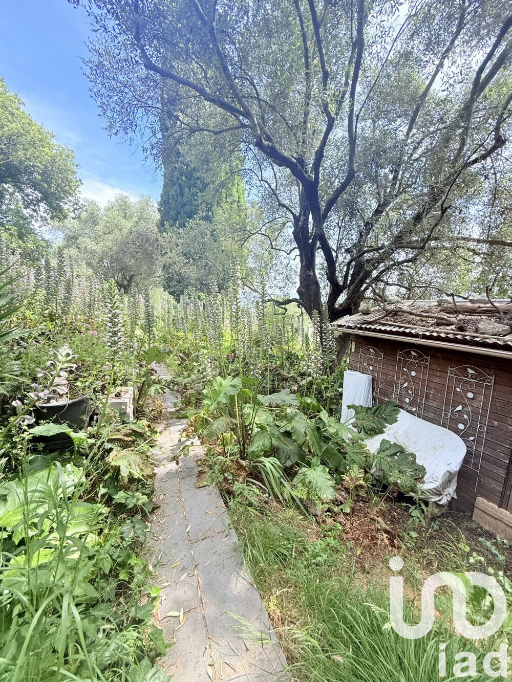 à vendre  Maison Saint-Martin-du-Var (06670)