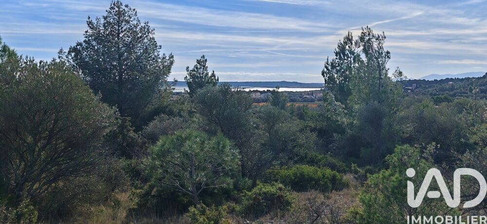 Vente Terrain Vente Terrain 4 480 m&sup2; La palme