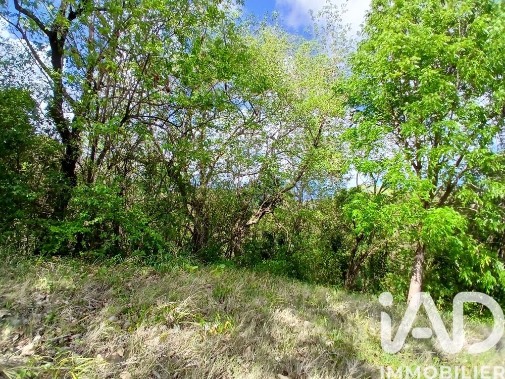 Vente Terrain Vente Terrain 11 000 m&sup2; Rivière-pilote