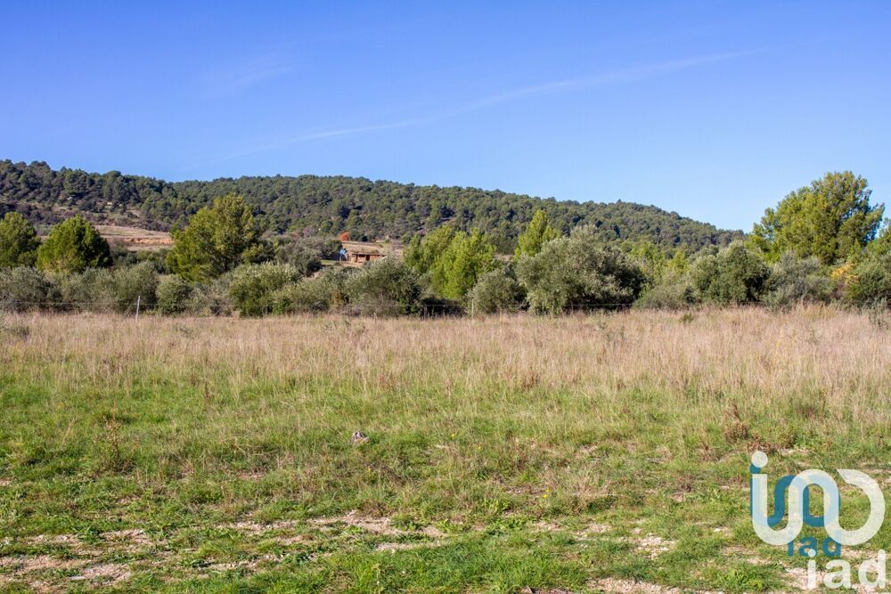 Vente Terrain Vente Terrain à bâtir 1 194 m&sup2; Mailhac