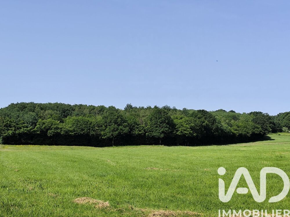 Vente Terrain Vente Terrain 82 500 m&sup2; Châteauneuf-val-de-bargis