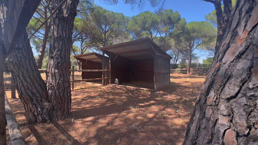  vendre  Maison Frjus (83600)