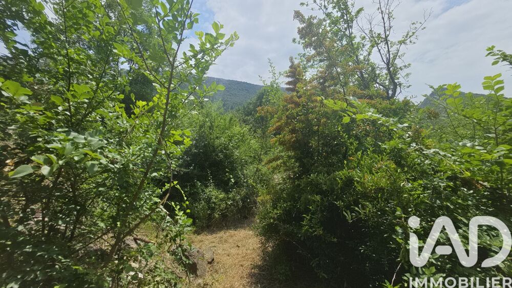 Vente Terrain Vente Terrain à bâtir 1 600 m&sup2; Plan-d'aups-sainte-baume