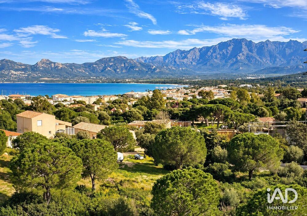 à vendre  Appartement Calvi (20260)