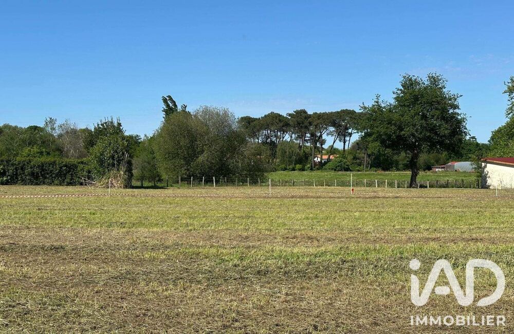 Vente Terrain Vente Terrain à bâtir 1 648 m&sup2; Anglet