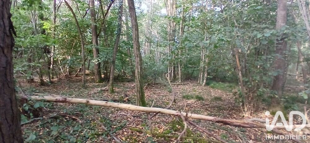 Vente Terrain Vente Terrain 3 306 m&sup2; Villemoutiers