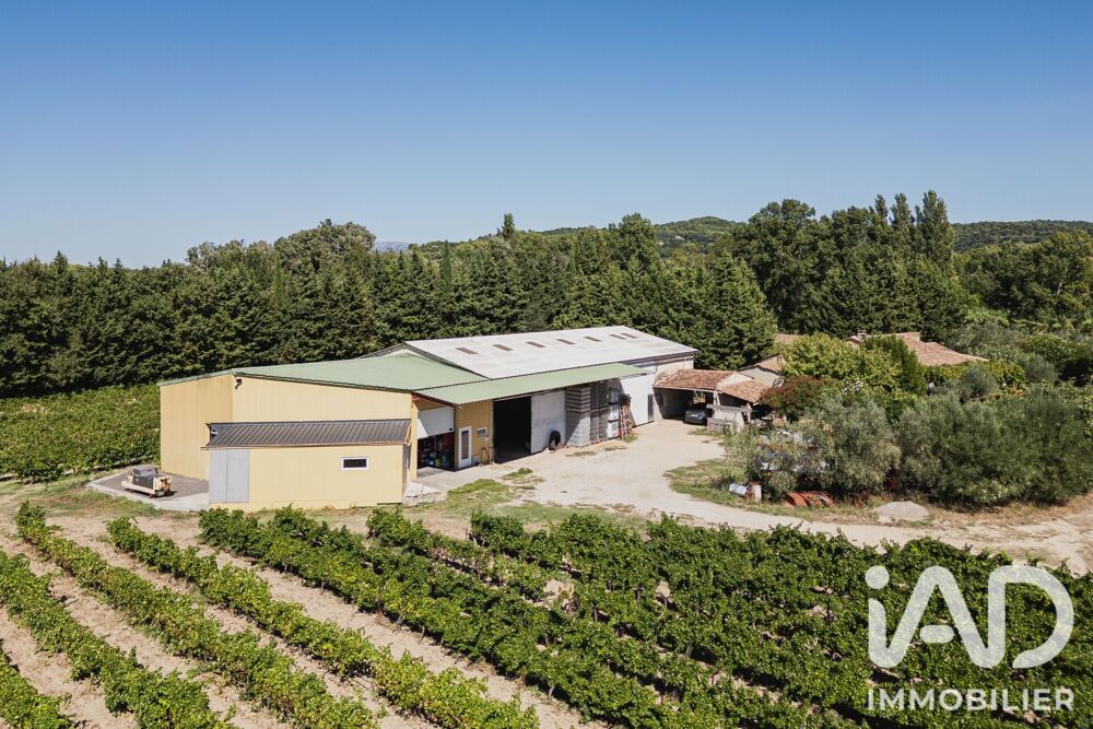   Vente Agriculture, Viticulture 800 m&sup2; 