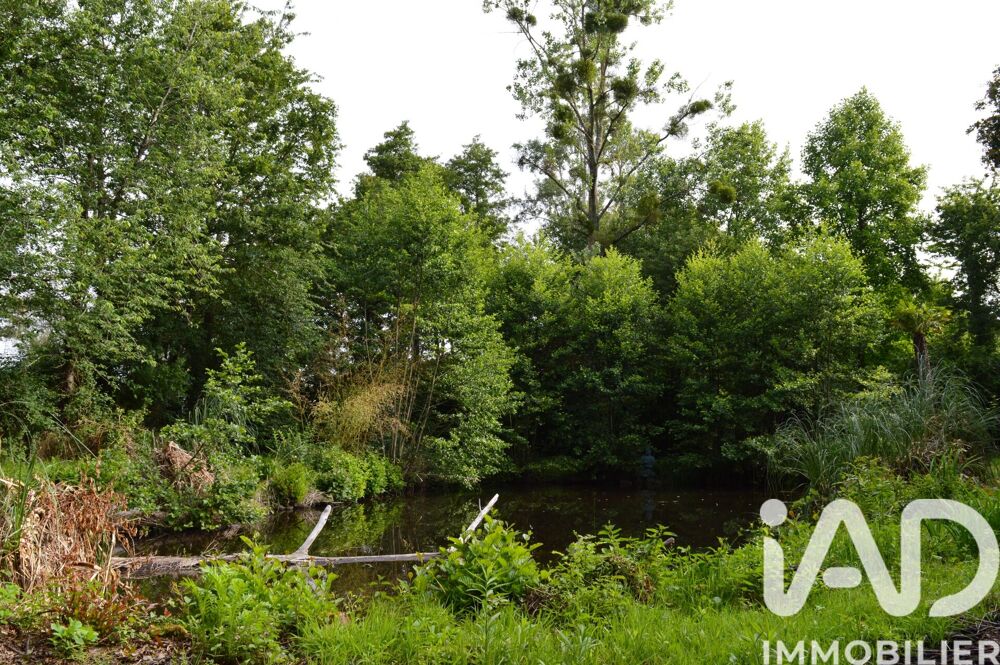 Vente Terrain Vente Terrain 4 555 m&sup2; Guémené-penfao