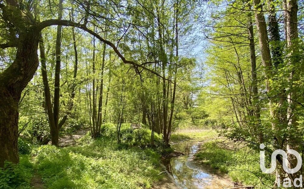 Vente Demeure 14 pièces