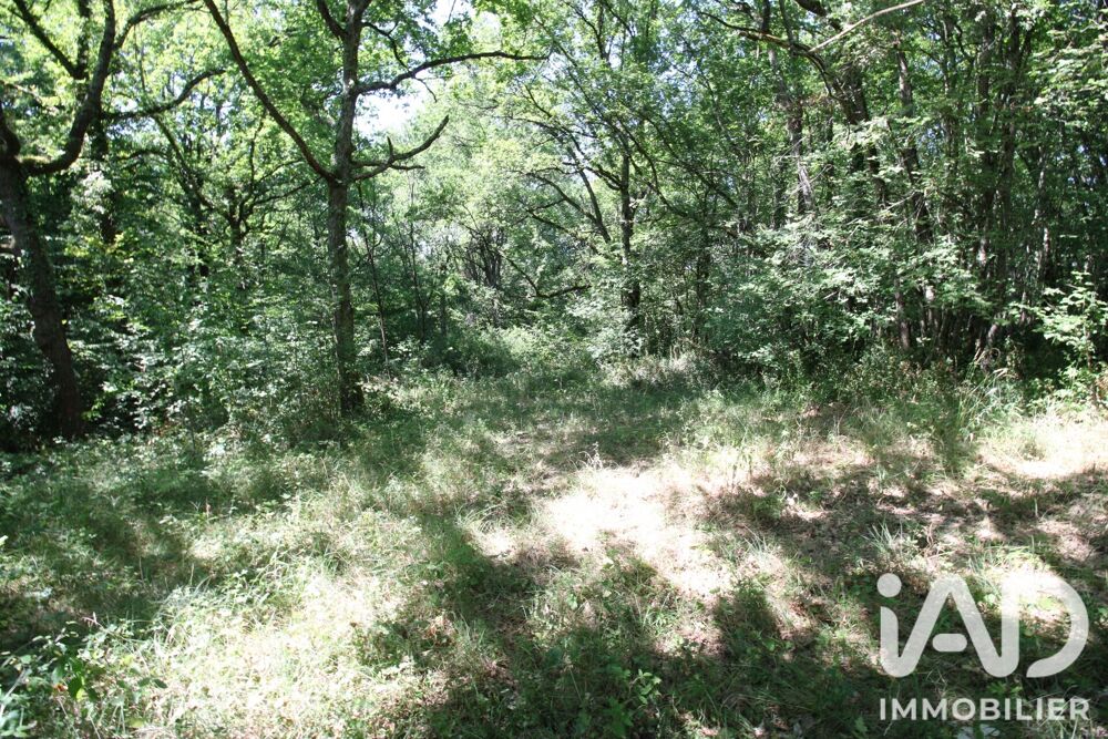 Vente Terrain Vente Terrain 14 982 m&sup2; Montdurausse