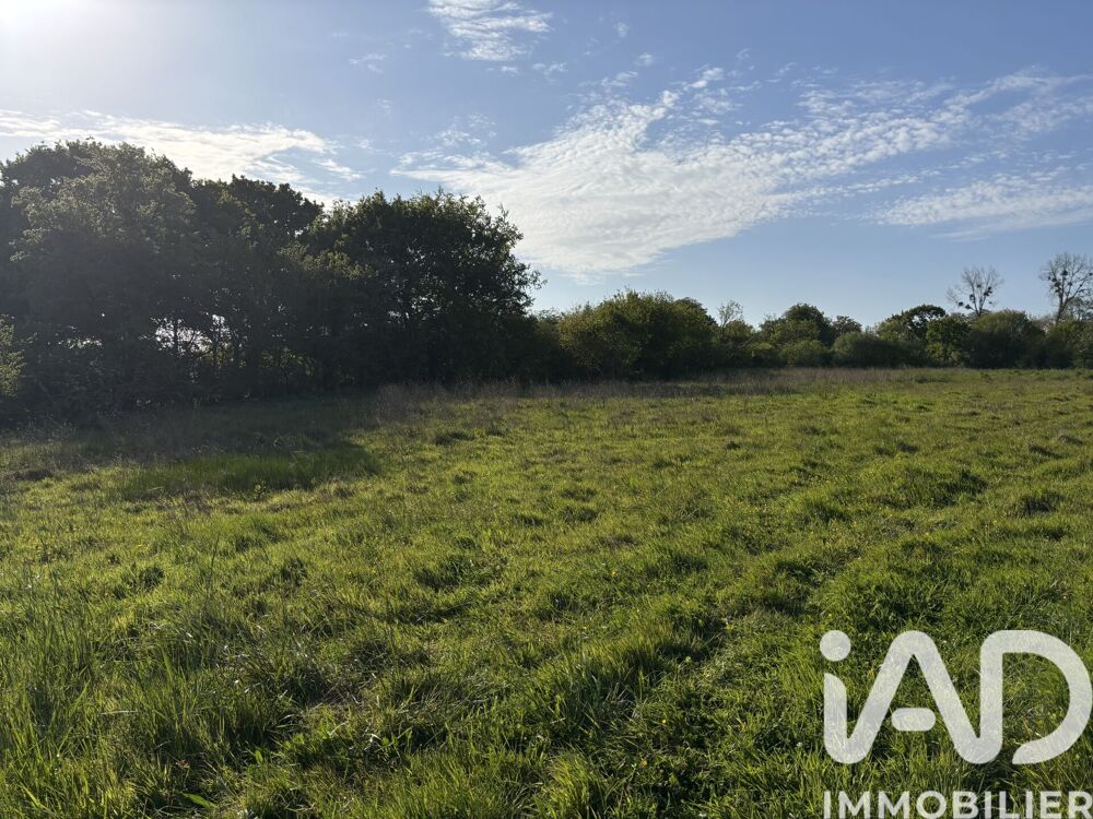 Vente Terrain Vente Terrain à bâtir 555 m&sup2; Valognes