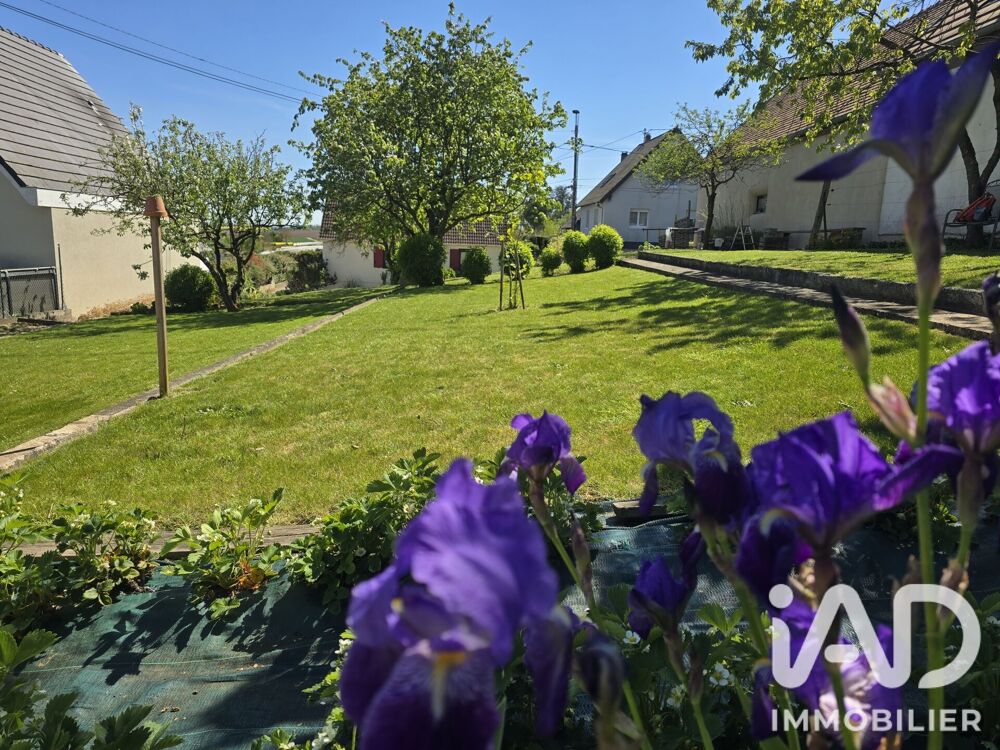 Vente Terrain Vente Terrain 466 m&sup2; Waltenheim-sur-zorn
