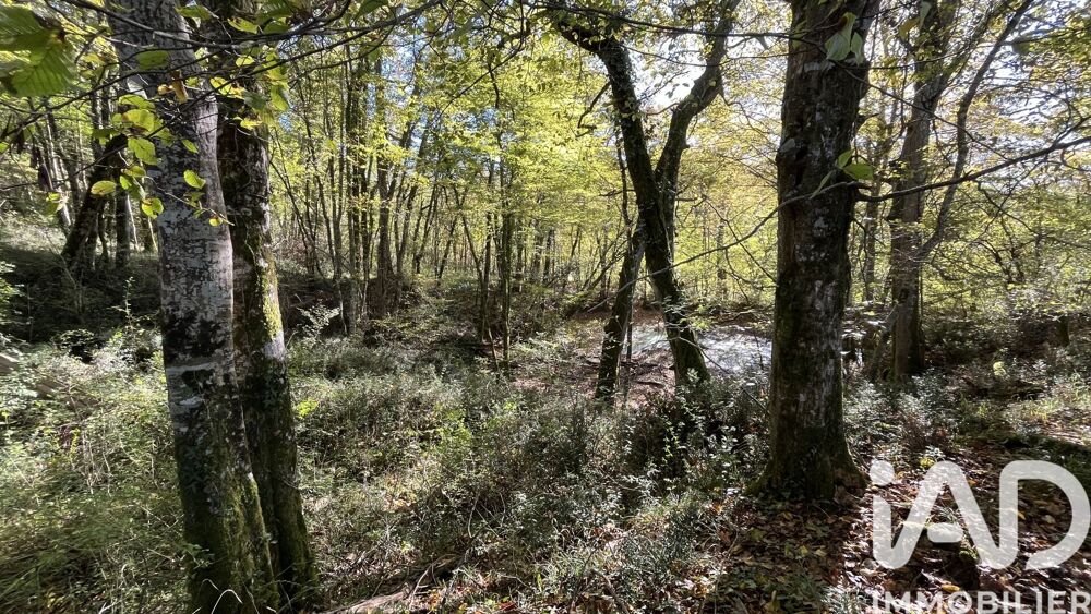 Vente Terrain Vente Terrain agricole 95 505 m&sup2; Marguestau