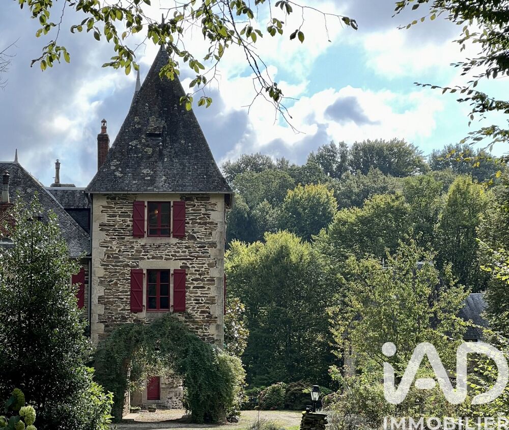 vente Maison - 15 + pièce(s) - 511 m² Lagraulière (19700)
