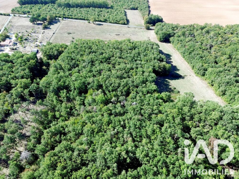 Vente Domaine 6 pièces