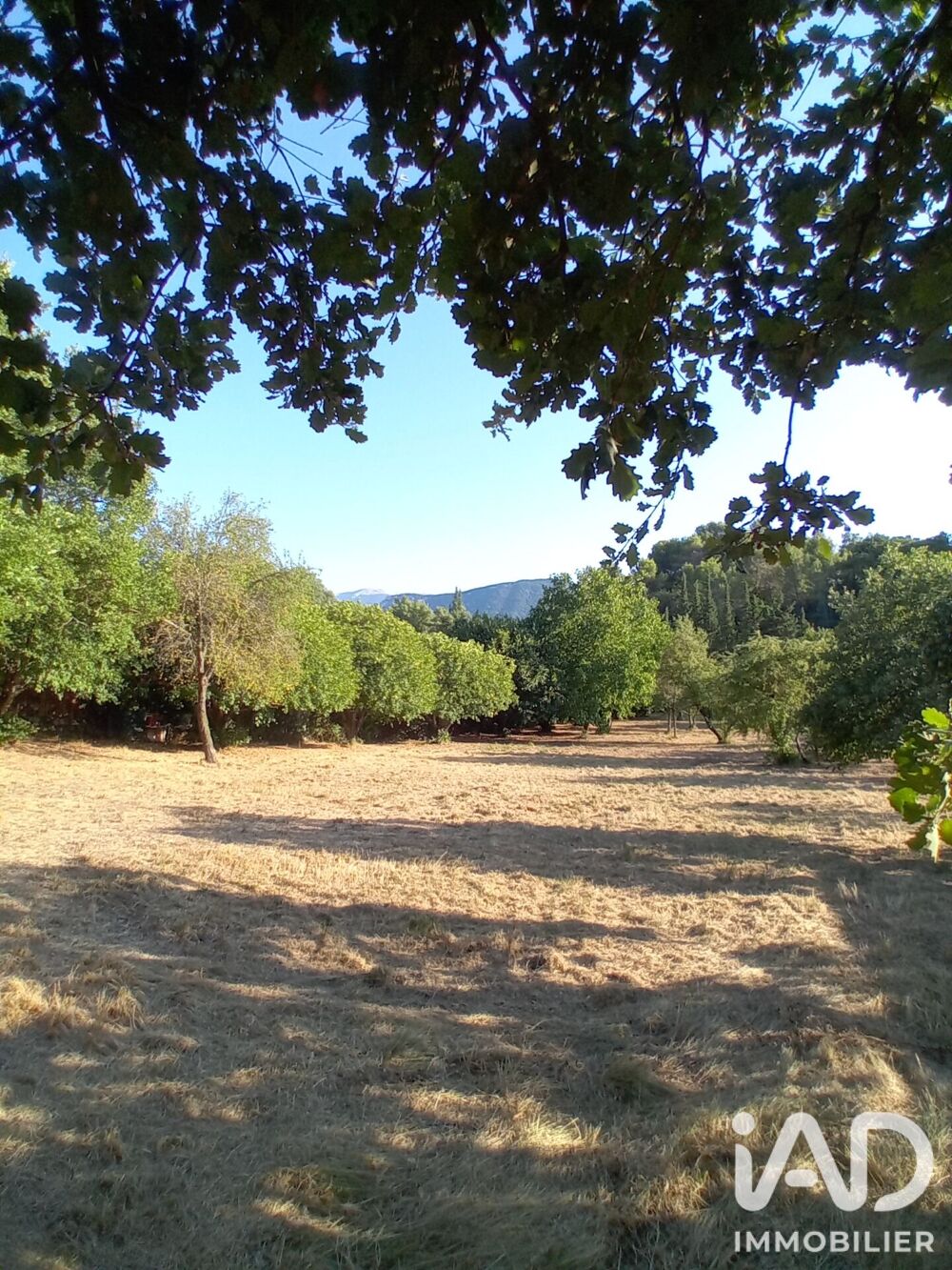 Vente Terrain Vente Terrain à bâtir 3 230 m&sup2; Buis-les-baronnies