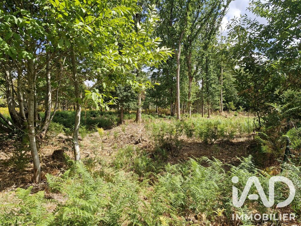 Vente Terrain Vente Terrain à bâtir 1 661 m&sup2; Saint-benoît-la-forêt