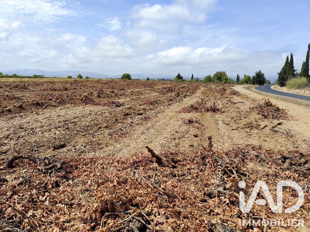 Vente Terrain Vente Terrain agricole 32 300 m&sup2; Salses-le-château