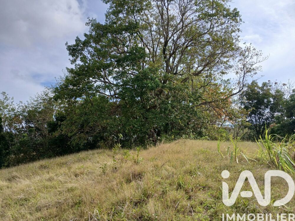 vente Terrain - 11000 m² Rivière-Pilote (97211)
