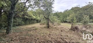  Terrain à vendre 2600 m²
