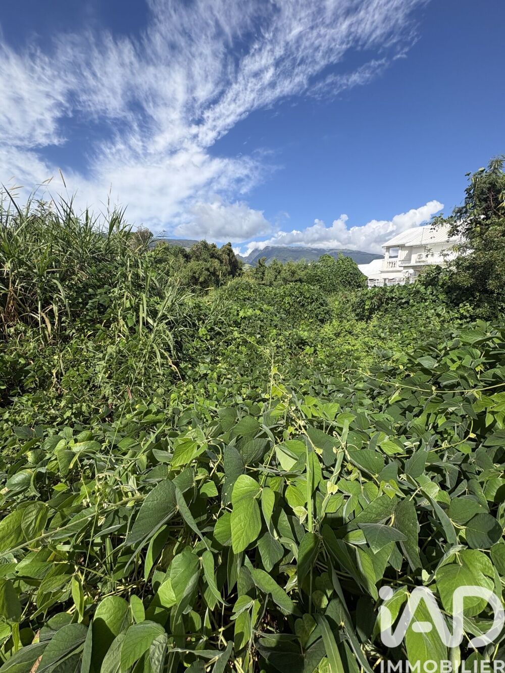 Vente Terrain Vente Terrain à bâtir 3 600 m&sup2; Ste marie