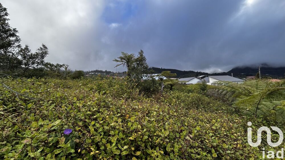vente Terrain - 7682 m² La Plaine-des-Palmistes (97431)