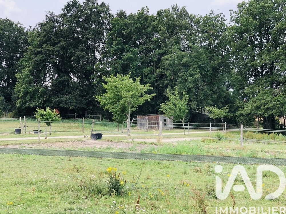 � vendre  Maison Verrie (49400)