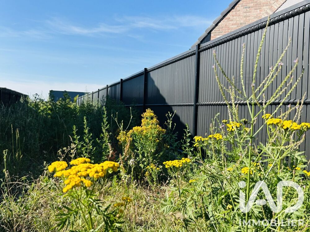 vente Terrain - 2418 m² La Bassée (59480)