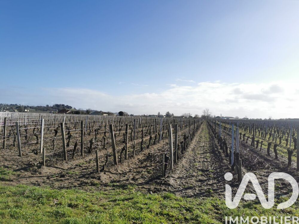 Vente Maison Vente Château 8 pièces Saint-sulpice-de-faleyrens