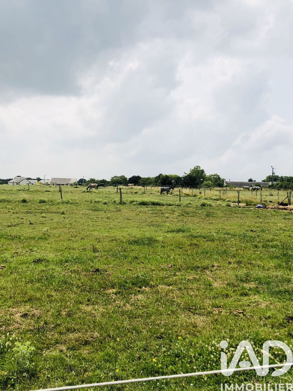 � vendre  Maison Verrie (49400)