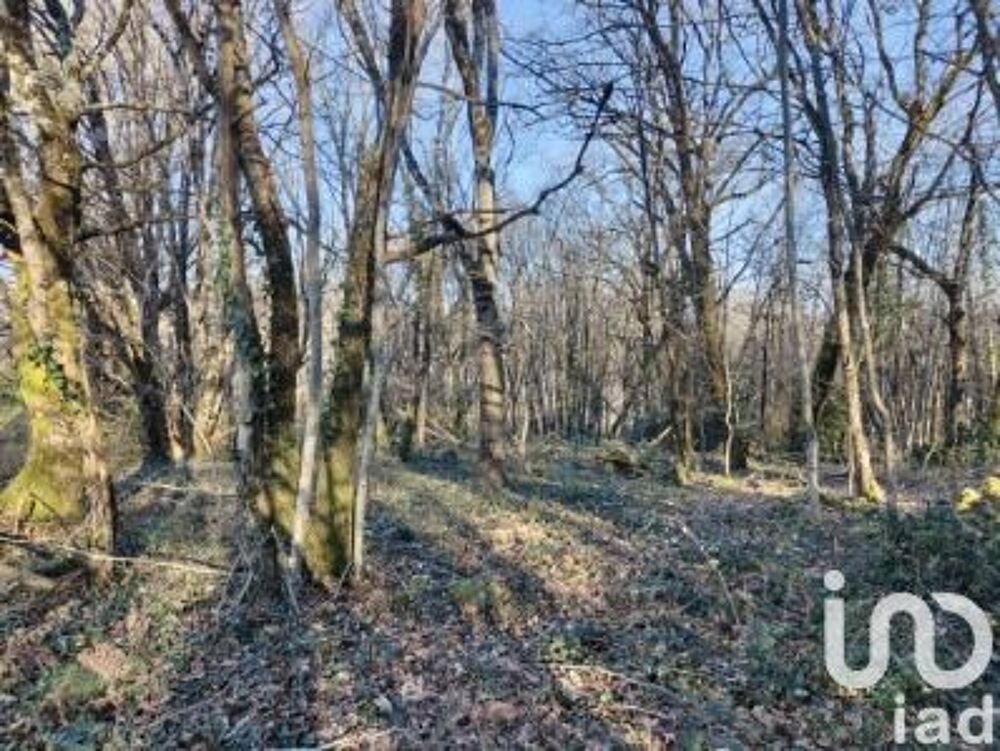 Vente Terrain Vente Terrain à bâtir 2 465 m&sup2; Domme