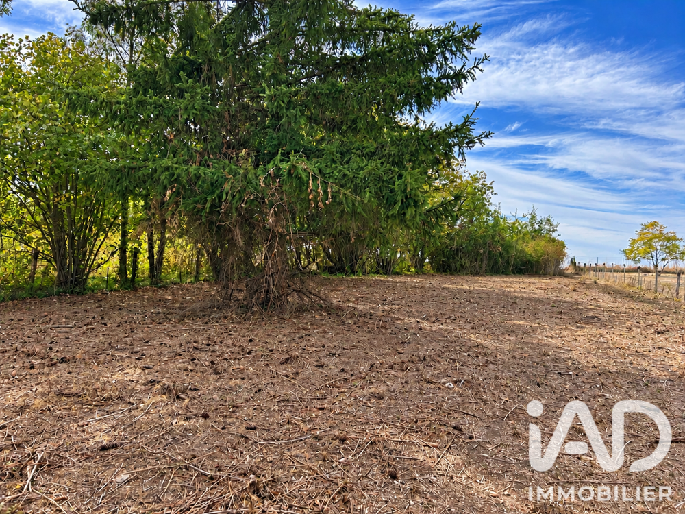 Vente Terrain Vente Terrain 1 173 m&sup2; Tavers